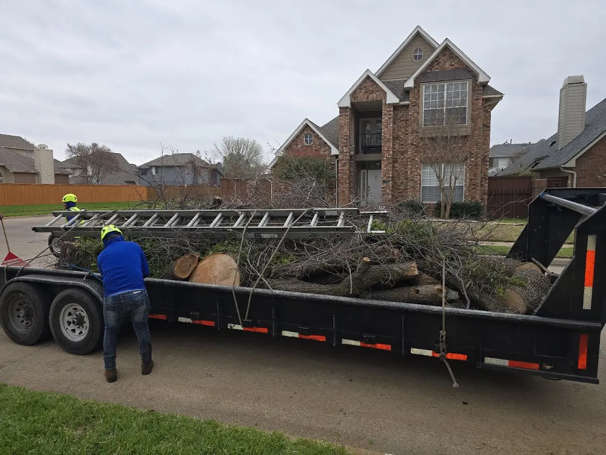 Expert Crown Reduction with proper safety equipment in Rocksprings